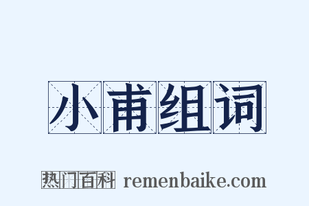 小甫组词是什么意思的图片